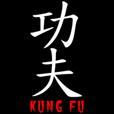 kung fu in anese and chinese kanji