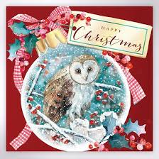 A Snowy Christmas Owl Christmas Cards