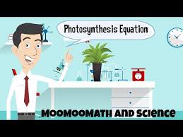 Word Equation For Photosynthesis