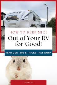 how to keep mice out of your rv so you