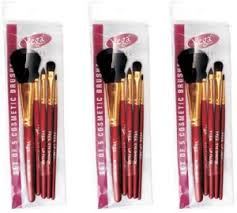 vega set of five make up brushes