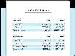 profit and loss statement guide and
