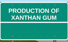 Production Of Xanthan Gum By Amirul Adeeb On Prezi