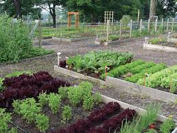 a guide to common organic garden pesticides