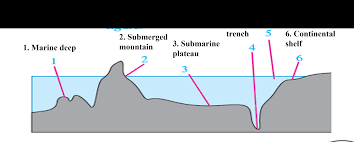 4 structure of ocean floor