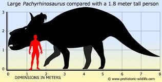 Jual mainan anak dino dinosaur dinosaurus spinosaurus ada lampu bisa jalan merah kota surabaya syariahtoys tokopedia 1 gambar dino merah kartun dinosaurus viral dan foto dino viral. Selain Triceratops Ini 5 Dinosaurus Herbivora Bertanduk Yang Unik