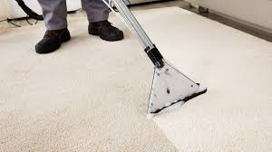 before you hire a carpet cleaner