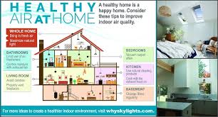 home upgrades for better indoor air