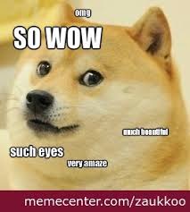 Amazed Doge by zaukkoo - Meme Center via Relatably.com