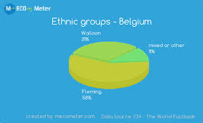 Demographics Of Belgium