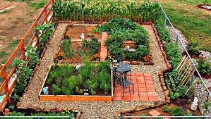 Backyard Vegetable Garden Ideas