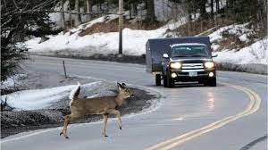Collision means the upset of your covered auto or its impact with another vehicle or object. Behind The Wheel How Likely Are You To Hit A Deer This Fall