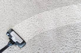 professional home carpet cleaners in