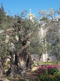 easter story the garden of gethsemane