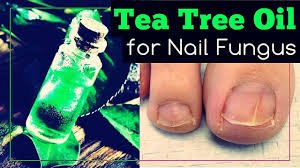 tea tree oil for nail fungus how to