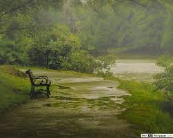 Park Bench in the Rain near the River ...