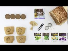 Garden Republic Herbal Tea Grow Kit