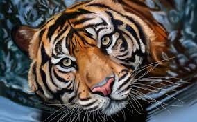 face painting tiger hd wallpaper