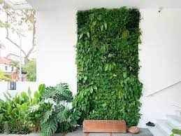 Live Green Wall Vertical Green Pte Ltd