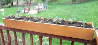 15 Deck Vegetable Garden Ideas To Grow