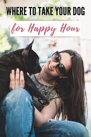 dog friendly bars happy hours in san