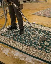 1 for rug cleaning in wilsonville or