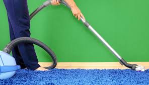 the service carpet cleaning visit
