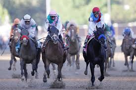 Foley is a journeyman who races regularly in kentucky, so it's a big moment for him. 147th Run For The Roses Medina Spirit Wins The 2021 Kentucky Derby