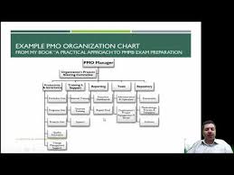 L10 Pmo Organization Chart Introduction To Pmo By Riad Thalji