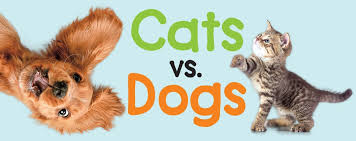 cats vs dogs