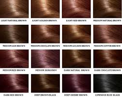 Henna Hair Dye Colours Chart 29 Dye Color Chart Hair