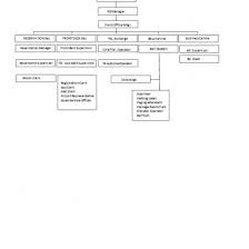 Organizational Chart Gen589pmveno