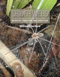 spider webs behavior function and
