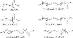 Combustion Chemical Kinetics Of
