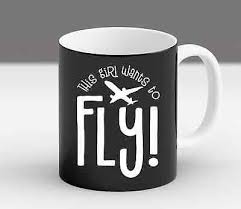 funny aviation pilot gift for pilots