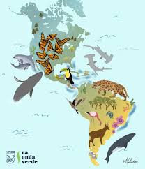 Diez años de una ruptura advertida. La Biodiversidad De America Latina Es Critica La Onda Verde Nrdc
