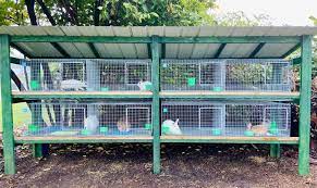 Building My Rabbit Hutch With Kw Cages