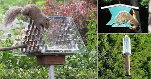 8 diy squirrel proof bird feeder ideas