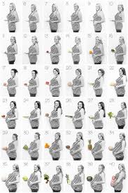 Belly Size During Pregnancy Chart Pregnancy Baby Size Chart