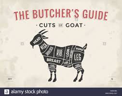 Cut Of Meat Set Poster Butcher Diagram Scheme Goat Stock