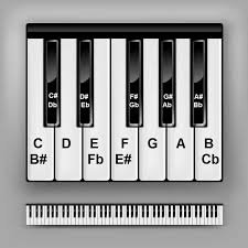 Piano Keys Chart For Beginner Piano Students