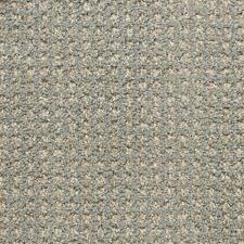 alpha daydream by masland carpets