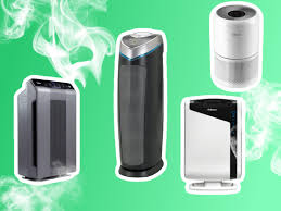 best air purifier for mold how to make