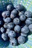 How do you know if a blueberry is bad?