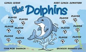 dolphins blue fabric soccer banner