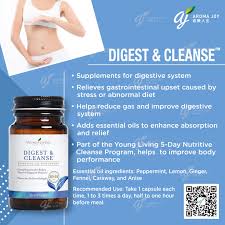 digest cleanse