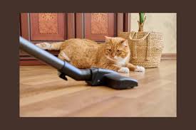 best vacuums for pet owners top picks