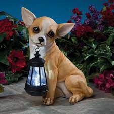Chihuahua Solar Led Dog Breed Garden