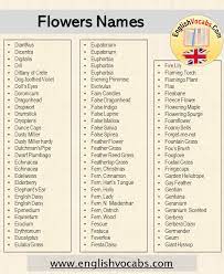 100 Flowers Name List In English