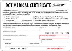All cdl holders required to have a valid medical certificate must comply with the regulations in part 383. G Medical Dot Physicals Los Angeles 323 899 0171